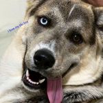 Tammy Moyer - @tammy.moyer.5496 - Instagram