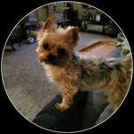 Tammy Moyer Bruck - @tammymoyerbruck - Instagram