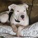 Tammy Mozingo - Facebook