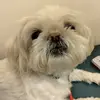 tammymuckler961 - @tammymuckler961 - TikTok