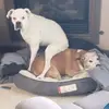 Tammy Mudd - @tammy.mudd - TikTok