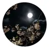 Tammy Muhammad - @user4318660311858 - TikTok