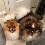 Tammy Heath Mullis - @theath5795 - Instagram
