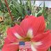 Tammy Mullis - Facebook