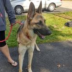 Tammy Munson - @tammy.munson.397 - Instagram