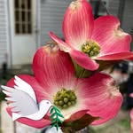 Tammy Munson - @munson.tammy - Instagram
