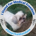 Tammy Steege - @tammymunson1964 - Instagram