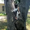 Tammy Muse - @tammy.muse2 - TikTok