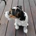 Natalia Tyma - Facebook