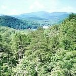 Tammy F. Nealy - @tamnealy7 - Instagram