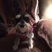Tammy Needham - Facebook