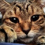 Tammy Nester - @tammymacdonald65 - Instagram