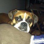 Tammy Noll - @tjkeen3412 - Instagram