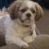 Tammy_Novak - @tammy_novak - TikTok