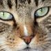 Tammy Nowicki - Facebook