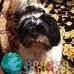 Tammy Nunes - Facebook