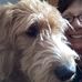 Tammy Nye - Facebook