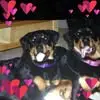 tammynyers - @tammy.nyers - TikTok