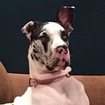 Tammy Odom - @odom7830 - Instagram