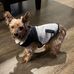 Ogg Tammy - Facebook