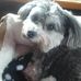 Tamara Ogg - Facebook