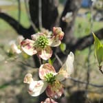 Tammy Bixler Ogle - @tam.ogle - Instagram