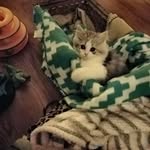 Tammy Ogle - @ogle9203 - Instagram