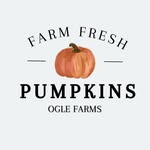 Tammy Roby Ogle - @tammy_ogle28 - Instagram