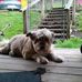 Tammy Corcoran - Facebook