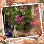 Tammy Oldfield - @tammy.oldfield.9 - Instagram