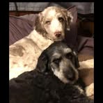 Tammy Olney - Facebook