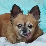 Tammy olszewski - @olszewski.tammy - Instagram