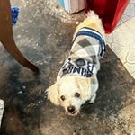 Tammy J O'Malley - @sashmom1988 - Instagram