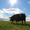 tammyomalley643 - @tammyomalley643 - TikTok