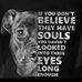Tammy Oney - Facebook