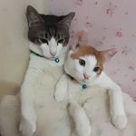 Orange and Tammy - @orangeandtammy - Instagram