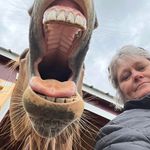 Tammy Orndorff - @tamiam22 - Instagram