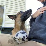 Tammy Orndorff - @xanderthemal - Instagram