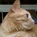 Tammy Ostrowski - Facebook
