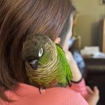 Tammy Fuehrer-Otto - @sphinxmotha - Instagram