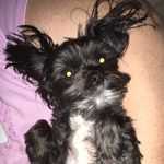 Tammy Otto - @tammy_o59 - Instagram