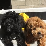 Pablo And Tammy - @pabloandtammy - Instagram