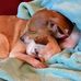 Tammie Packard - Facebook