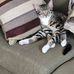 Tammy Applin Packard - Facebook