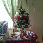 Tammy Squier-packer - @squierpacker - Instagram