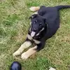 tammypacker521 - @tammypacker521 - TikTok