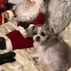 tammyparshall6 - @tammyparshall6 - TikTok