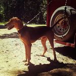 Tammy Parton - @tammyparton - Instagram