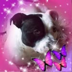 Tammy Pascoe - @tammymarie72 - Instagram