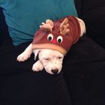 Tammy Patching - @tammypatching - Instagram